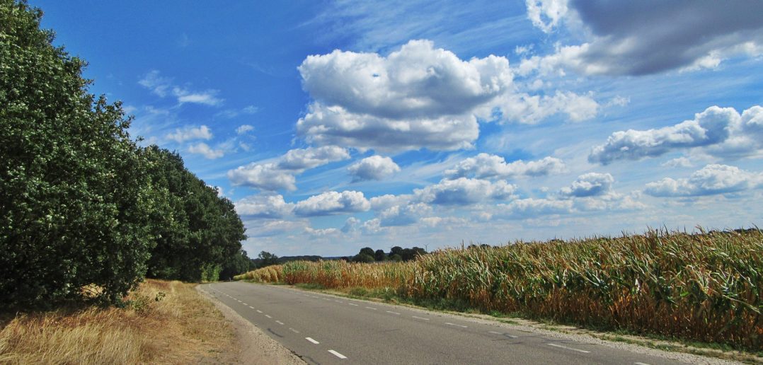 Public committee asks for published evidence on the impact of climate