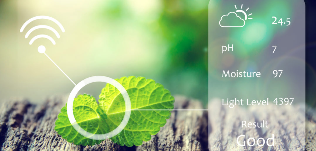 Smart agri-tech solutions to promote innovation ...