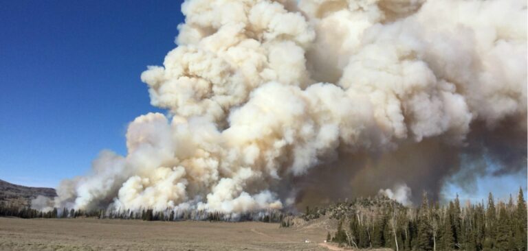 NOAA and NASA research to improve weather and air quality models for wildfires