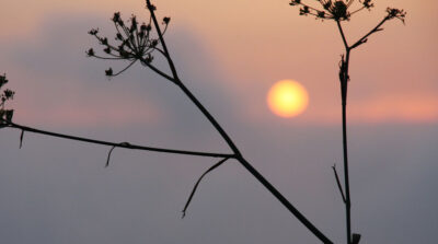 Global August temperatures third highest on record