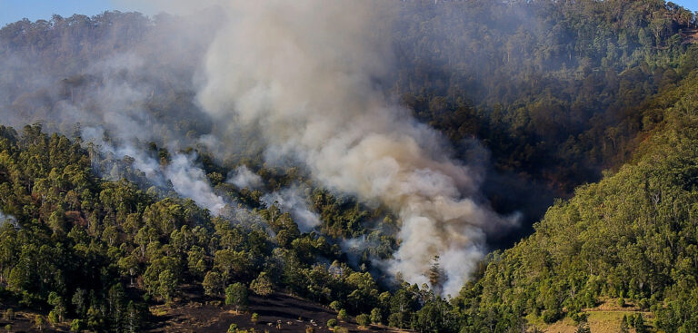 Risk of wildfires will rise with climate change