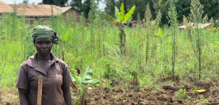 Weather can drive people into poverty. Knowing the weather can lift them out