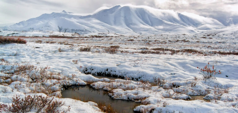 Red alert as Arctic goes green