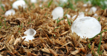 Weather tech company and risk management firms partner to ‘streamline’ damage claims