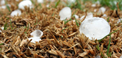 Weather tech company and risk management firms partner to ‘streamline’ damage claims