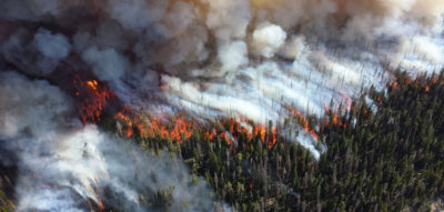 Experts warn against optimism after US wildfires plummeted in 2019