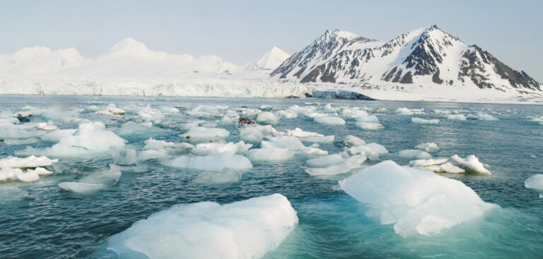 Antarctic sea ice melt warms the tropics