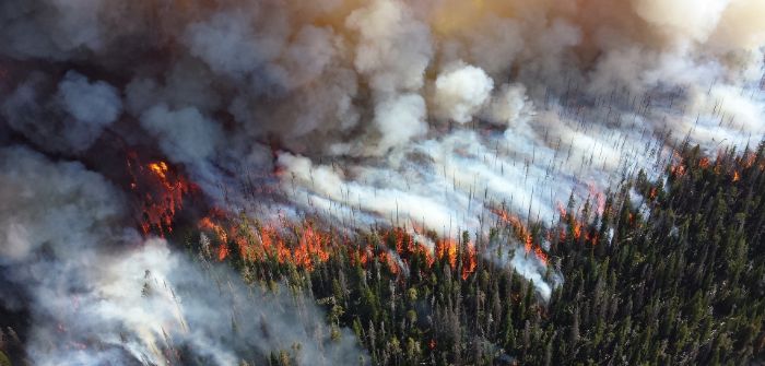 NASA ECOSTRESS data incorporated into new wildfire response tool