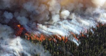 Wildfires