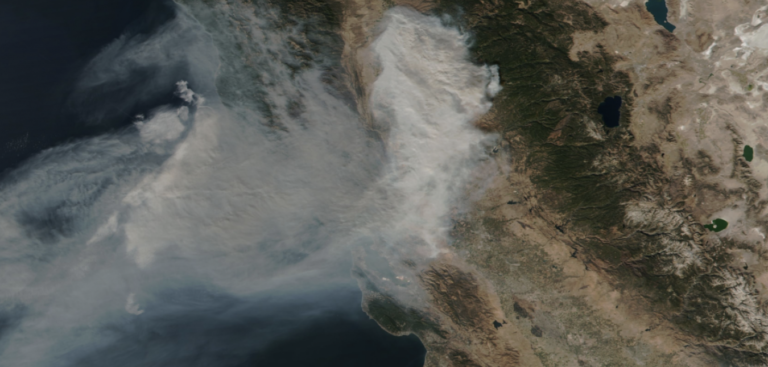 Wildfire impacts on global air quality