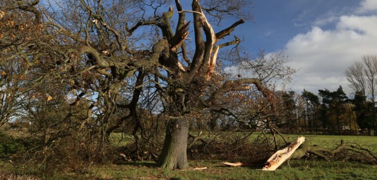 Improved tornado prediction for the UK