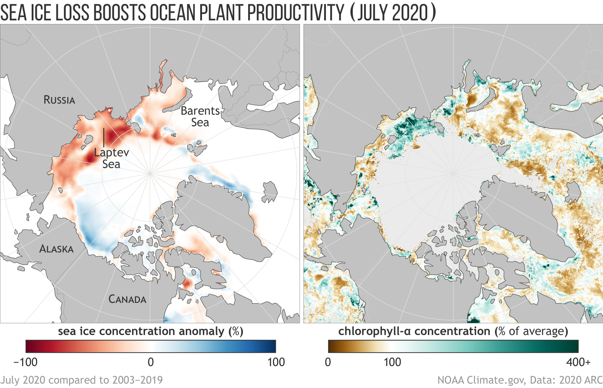 Какой будет июль 2020 года. Море 2020. Arctic Canada climate change. Viruses, Microbes in a Sea Ice of Arctic Ocean. 2020 - Sea Savage (Japan Edition + 2 Bonus).