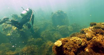 NOAA and The Ocean Foundation team up to advance ocean science NOAA Ocean Foundation