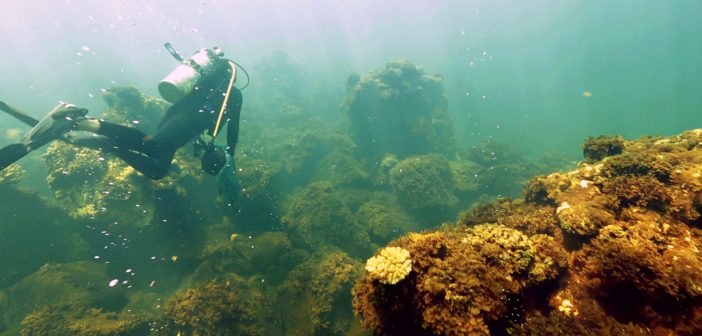 NOAA Ocean Foundation