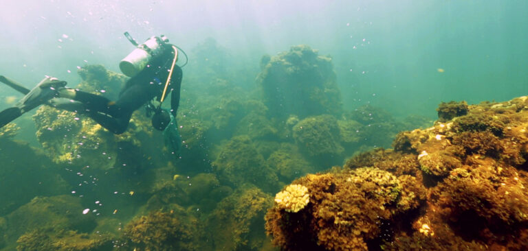 NOAA Ocean Foundation