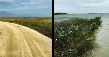Sea-level rise during 20th century fastest in 2,000 years on US Atlantic coast