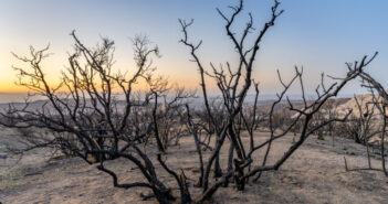 UCI study reveals greenhouse gas and aerosol emissions are intensifying droughts Droughts