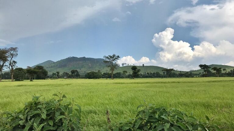 Vaisala and FMI to deliver turnkey meteorological infrastructure project in Ethiopia Ethiopia