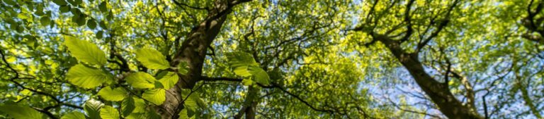 UK Met Office aims to be a net zero emitter by 2030 Net Zero