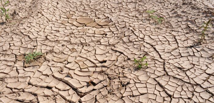 Global drought frequency and duration has risen nearly 30% since turn of the century, finds UN report