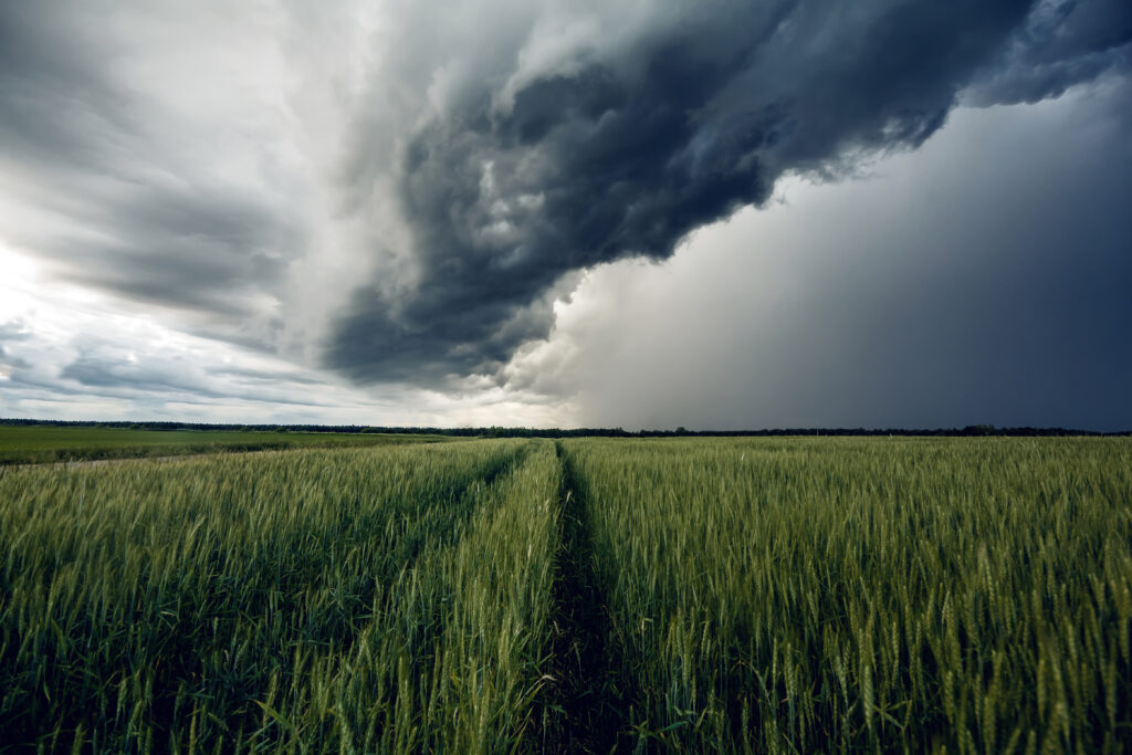 Climavision to provide real-time weather intelligence for Cargill agriculture