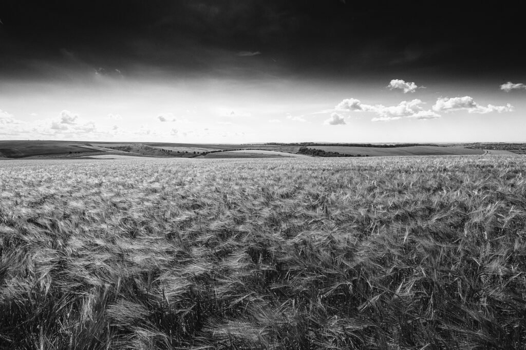 Clustered weather extremes to lead to increased crop failures, finds NASA