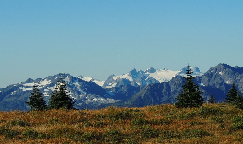 Glaciers to disappear from Washington’s Olympic Peninsula by 2070