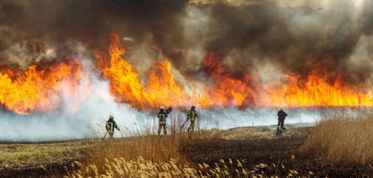 National Center for Atmospheric Research provides wildfire research guidance