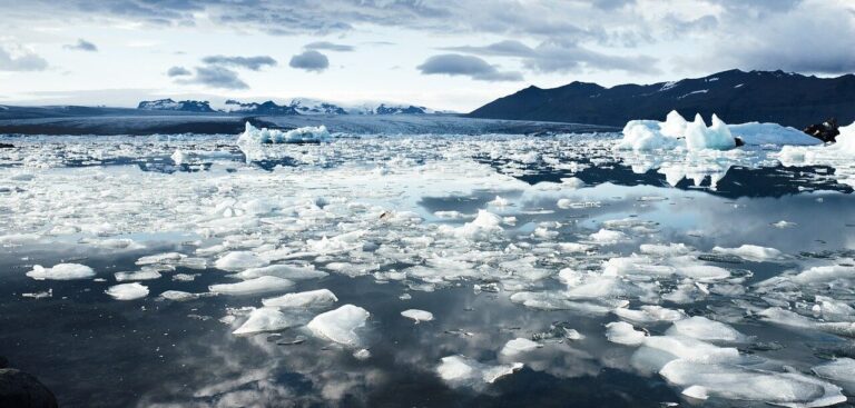 Warming in the Arctic region four times faster than the global average, finds study