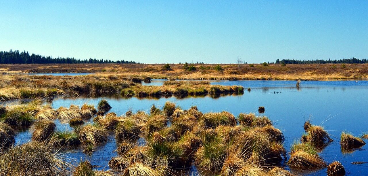 FMI unveils Yasso model enhancements to improve soil carbon