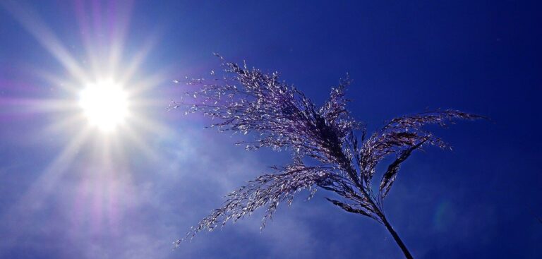 Met Office expands academic partnerships to tackle challenges of high-impact weather