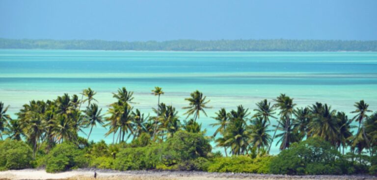 South West Pacific temperatures set to harm vital ecosystems and low-lying islands, WMO finds
