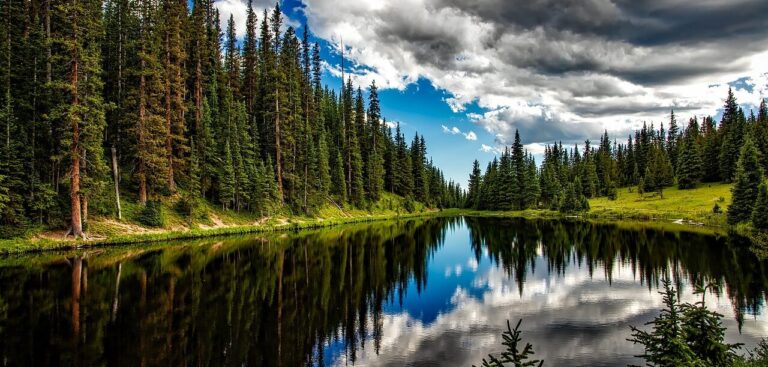 FMI uses machine learning to correct systematic bias in carbon balance calculations