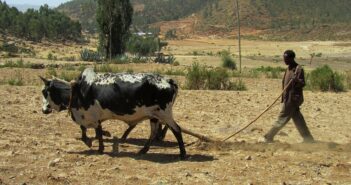 Horn of Africa facing ‘unprecedented’ sixth season of drought, according to forecasts