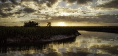 Coastal salt marshes could disappear with rapid sea level rise, warns study