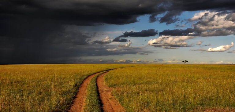 UNDRR and WMO launch CREWS East Africa