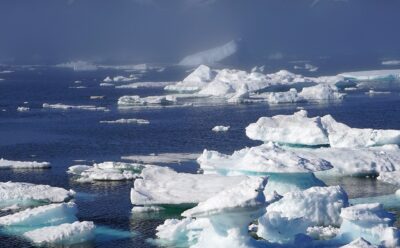 Rapid polar changes demand urgent action, warns working group