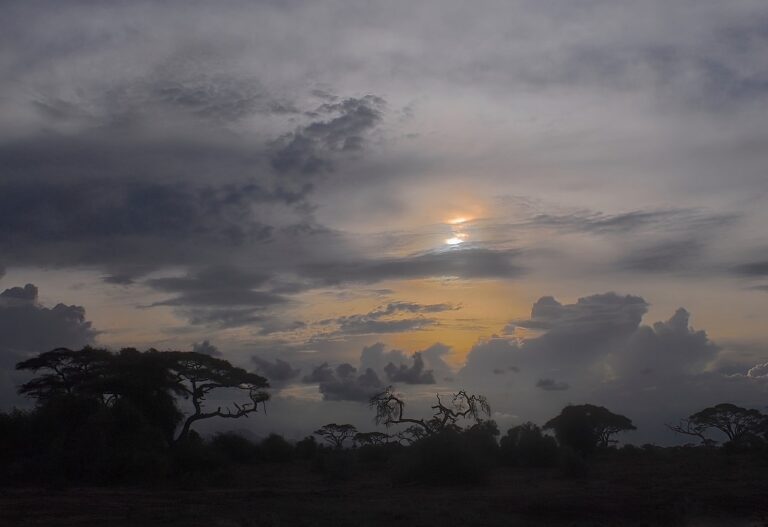 African early warning system for water resources wins 2023 UNDRR RISK Award