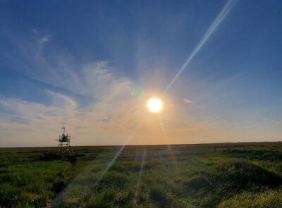 UK Centre for Ecology and Hydrology measures carbon capture abilities of salt marshes
