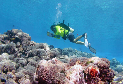 NOAA unveils tool for exploring coral reef data