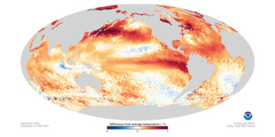 FEATURE: University of Washington offers expert opinions on El Niño, weather and ocean temperatures