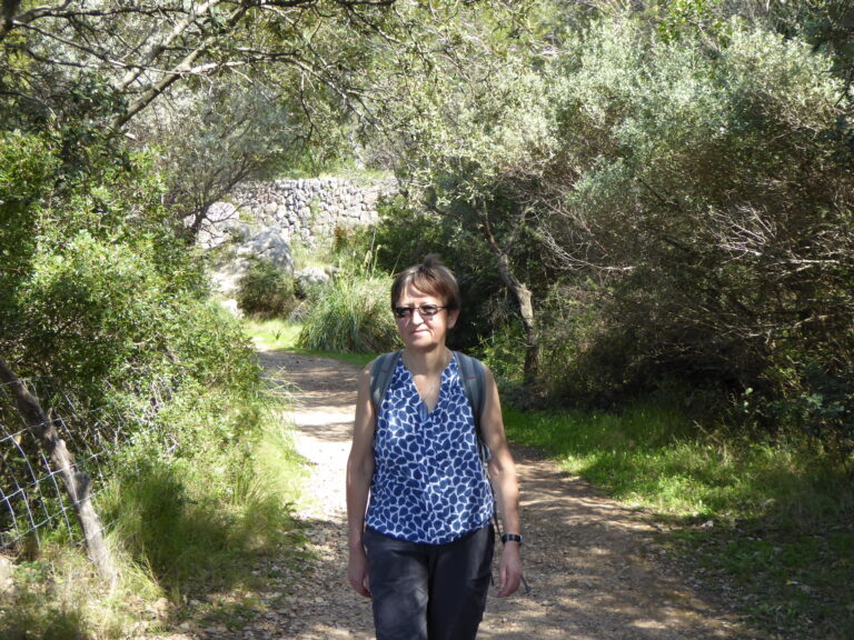 INTERVIEW: Prof. Sue Grimmond, professor of atmospheric and oceanic science at the University Of Reading, and Met Office Joint Chair