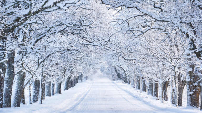 Snowflake motion analysis could improve rain forecasts, University of Reading reports Snowflake motion analysis could improve rain forecasts, University of Reading reports.