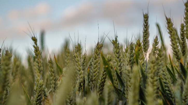 The Department of Commerce and NOAA have awarded US$1.95m in Inflation Reduction Act funding to support tribal resilience to drought.