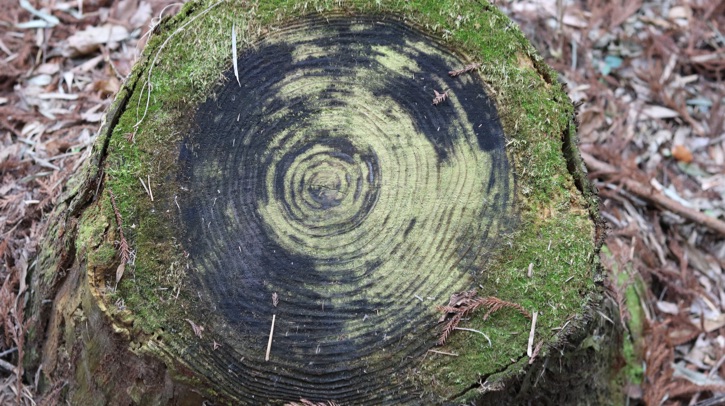 Researchers combine methodologies to better predict unprecedented weather A team from the Climate Adaptation Services Foundation, the University of Reading and other international institutions has published a study in Nature Communications, which set out to bring together methods to see beyond the limitations of conventional weather records, which typically only cover the past century.