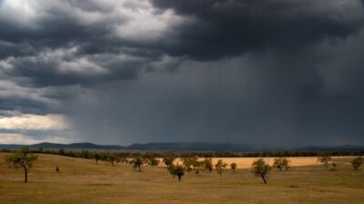 Australian Bureau of Meteorology CEO to step down in September 2025