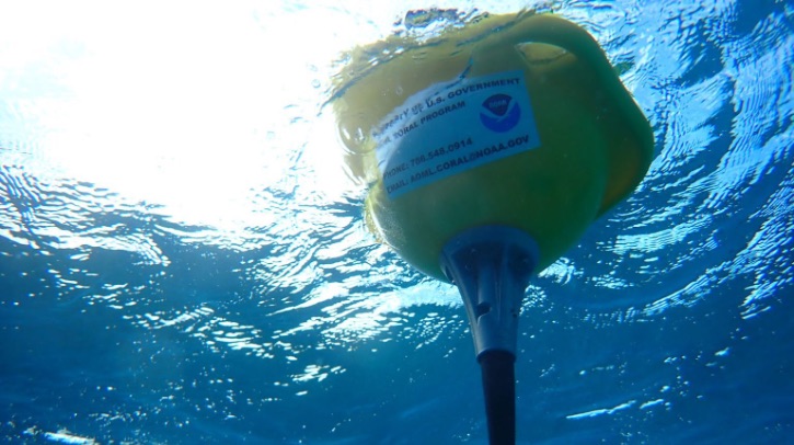 FEATURE: How are NOAA’s latest buoys tackling ocean acidification? Scientists at NOAA’s Atlantic Oceanographic and Meteorological Laboratory (AOML) and the Cooperative Institute for Marine and Atmospheric Sciences (CIMAS) have deployed a series of Sofar “Spotter” buoys at four of the seven Mission: Iconic Reefs within the Florida Keys National Marine Sanctuary (FKNMS) identified as essential sites for restoration.