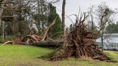 UK Met Office to update power outage predictions for windstorms