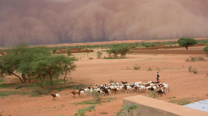 According to a new study published in Nature Geoscience by the UK Centre for Ecology and Hydrology (UKCEH), the University of Leeds (UK) and the Pacific Northwest National Laboratory (USA), measurements of land surface conditions are set to transform early warning systems in tropical regions.