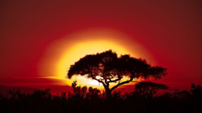 WMO releases State of the Climate in Africa 2024 report